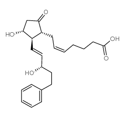 17-phenyl trinor Prostaglandin E2 38315-43-4