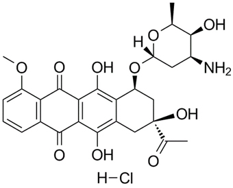Daunorubicin hydrochloride 23541-50-6