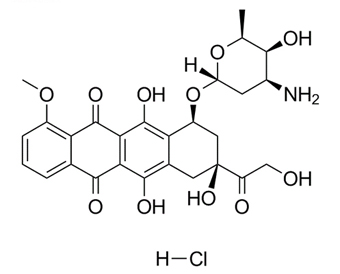 Doxorubicin HCl 25316-40-9