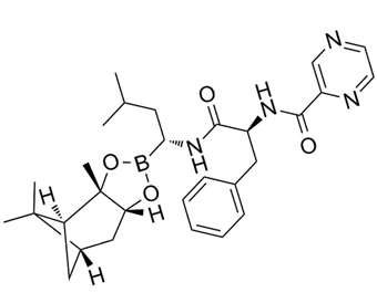 Bortezomib pinanediol ester 205393-22-2