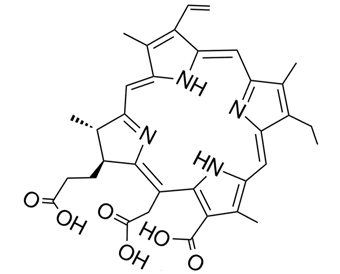 Chlorin E6 19660-77-6