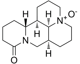oxymatrine 16837-52-8