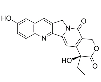 10-Hydroxycamptothecin 19685-09-7
