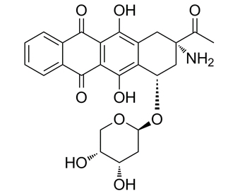 Amrubicin 110267-81-7