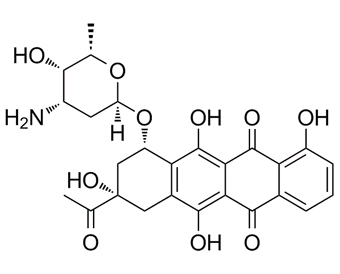 carubicin 50935-04-1