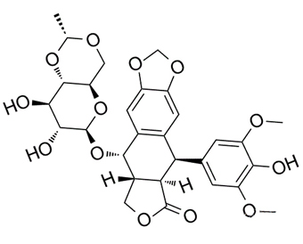 Etoposide 33419-42-0