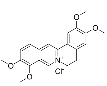 Palmatine chloride 10605-02-4
