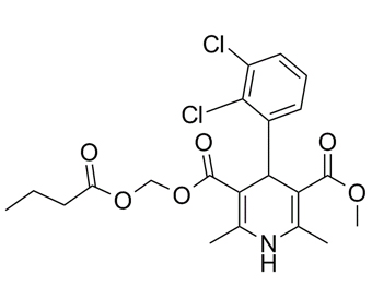 Clevidipine Butyrate 167221-71-8