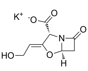 Potassium clavulanate 61177-45-5