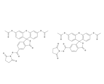 CFSE Carboxyfluorescein succinimidyl ester 150347-59-4