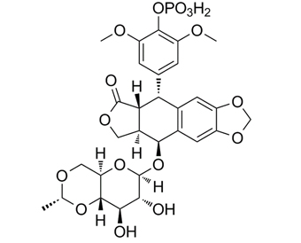 Etoposide phosphate 117091-64-2